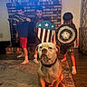 Captain joined the competition — help win amazing prizes! dog, child, indoor, carpet, fireplace, shield, costume, superhero, brick_wall, curtain, wood_floor, sock, toy, play, family, home, pet, portrait, posing, living_room