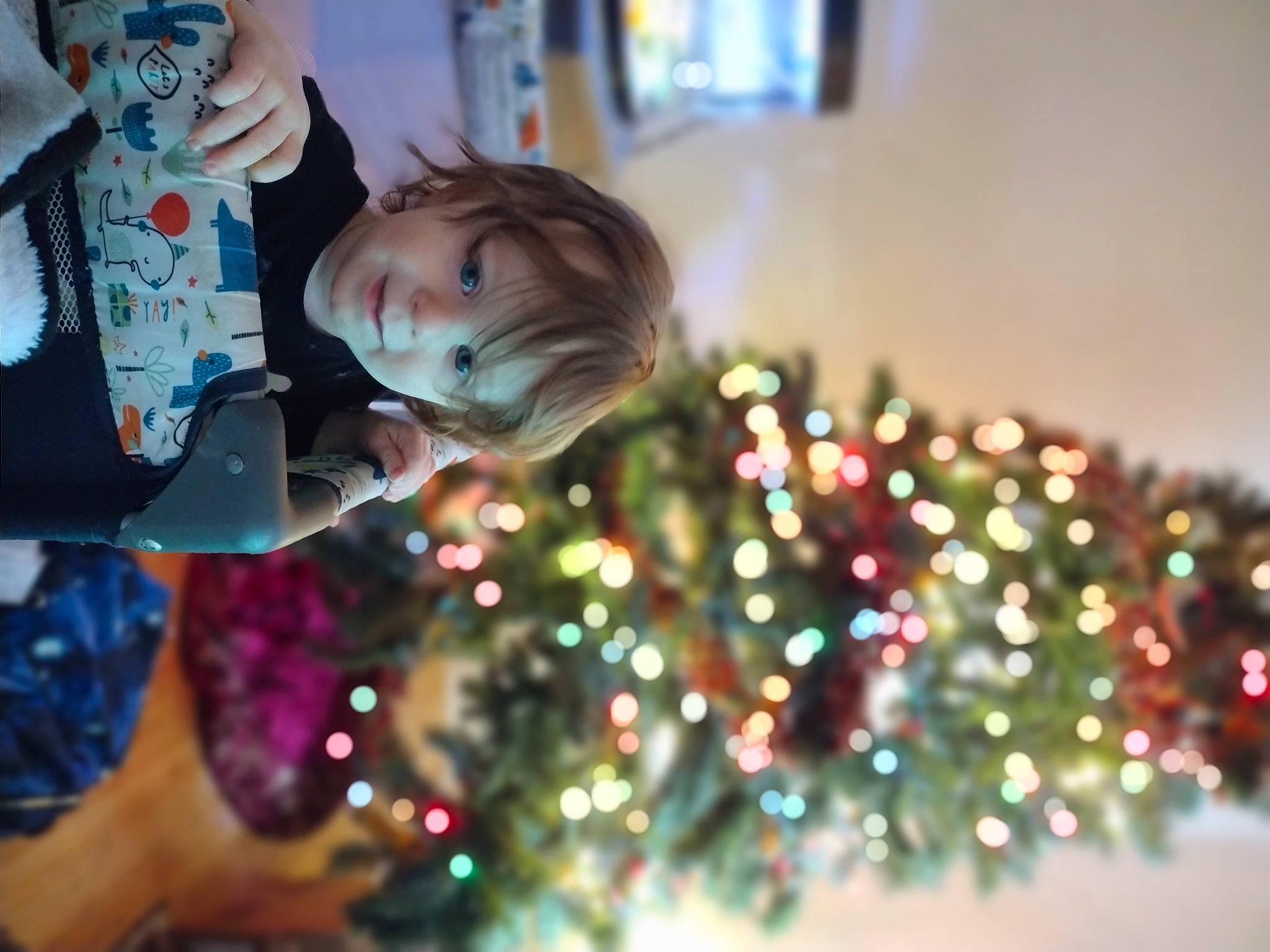 Jude joined the competition — help win amazing prizes! christmas, christmas_decoration, christmas_eve, christmas_lights, christmas_ornament, christmas_tree, conifer, event, facial_expression, fun, happy, holiday, interior_design, leisure, ornament, person, toddler, tradition, tree, window