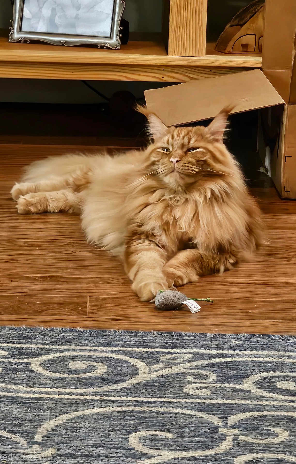 Winston