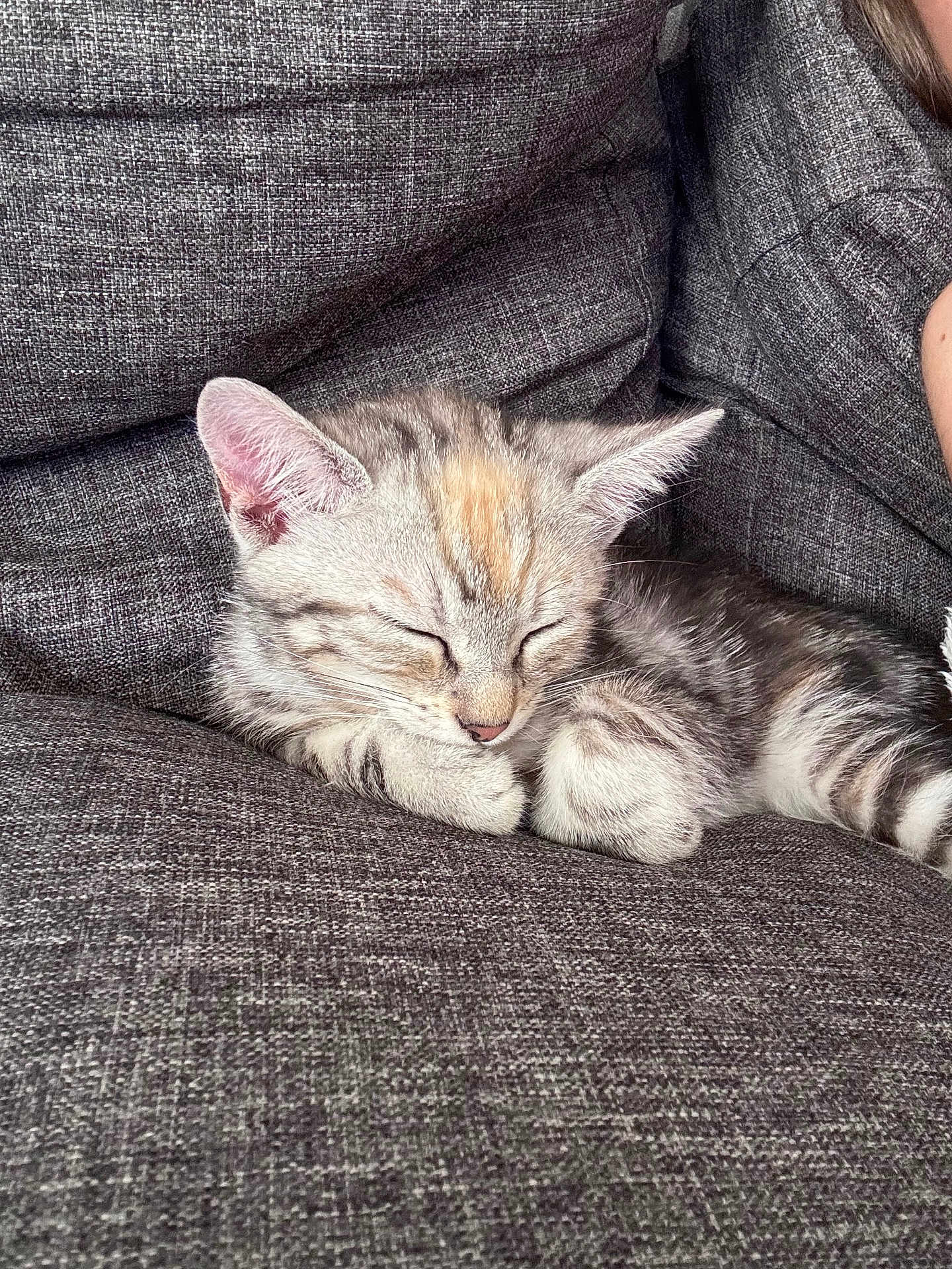 Altéa