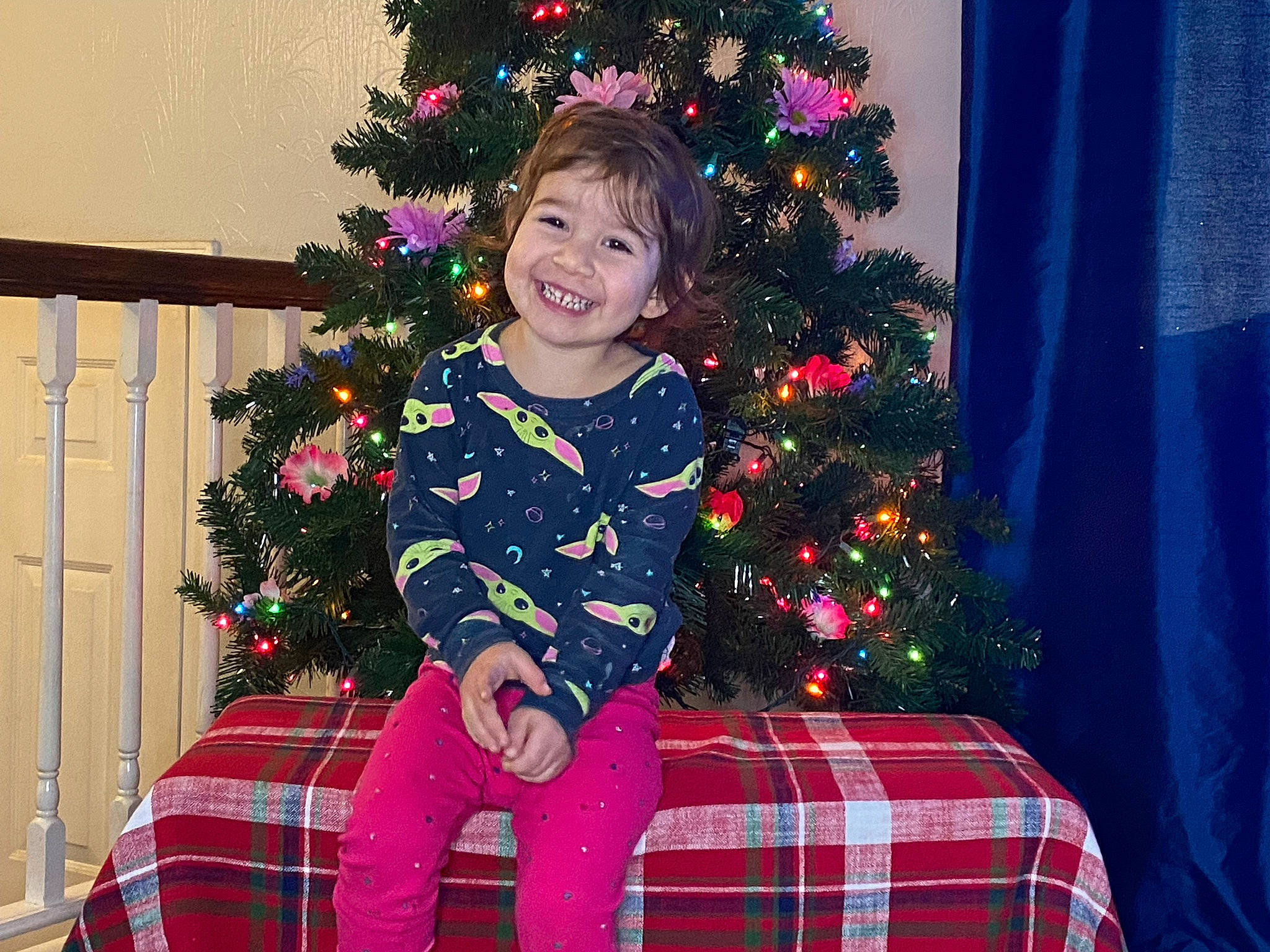 Delilah joined the competition — help win amazing prizes! christmas, christmas_decoration, christmas_ornament, christmas_tree, event, happy, holiday_ornament, human_body, joy, lap, ornament, person, photograph, plaid, plant, red, sleeve, smile, tartan, toddler
