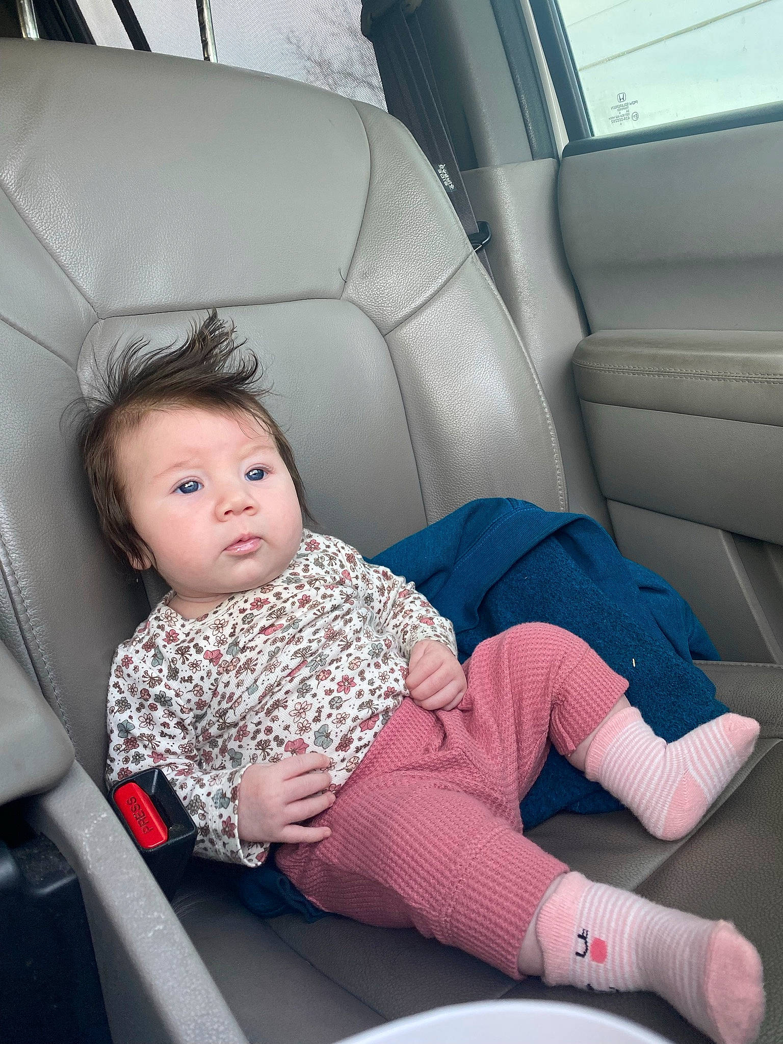 Stella joined the competition — help win amazing prizes! automotive_design, baby, baby_toddler_clothing, beauty, car, car_seat, car_seat_cover, comfort, head_restraint, human_leg, joint, knee, leg, motor_vehicle, person, personal_luxury_car, sock, thigh, toddler, vehicle