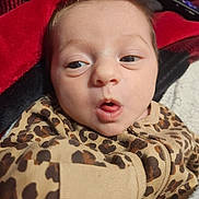 Mayleigh is registered to the contest to win money with this photo: baby, blanket, child, close_up, clothing, curious, cute, expression, face, head, indoor, infant, leopard_print, person, portrait, resting, skin, sleepwear, soft_texture, young