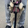 puppy, dog, scooter, pink_harness, person, gray_sweatpants, black_crocs, pavement, outdoor, pet, animal, cute, playful, standing, road, footwear, leash, front_view, paw, handlebar