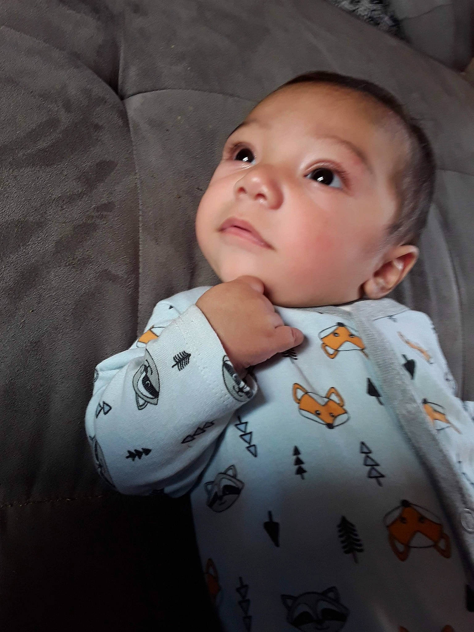 Joseph joined the competition — help win amazing prizes! baby, baby_toddler_clothing, cheek, child, chin, collar, comfort, dress_shirt, eye, head, iris, lip, neck, nose, pattern, person, sitting, skin, sleeve, textile