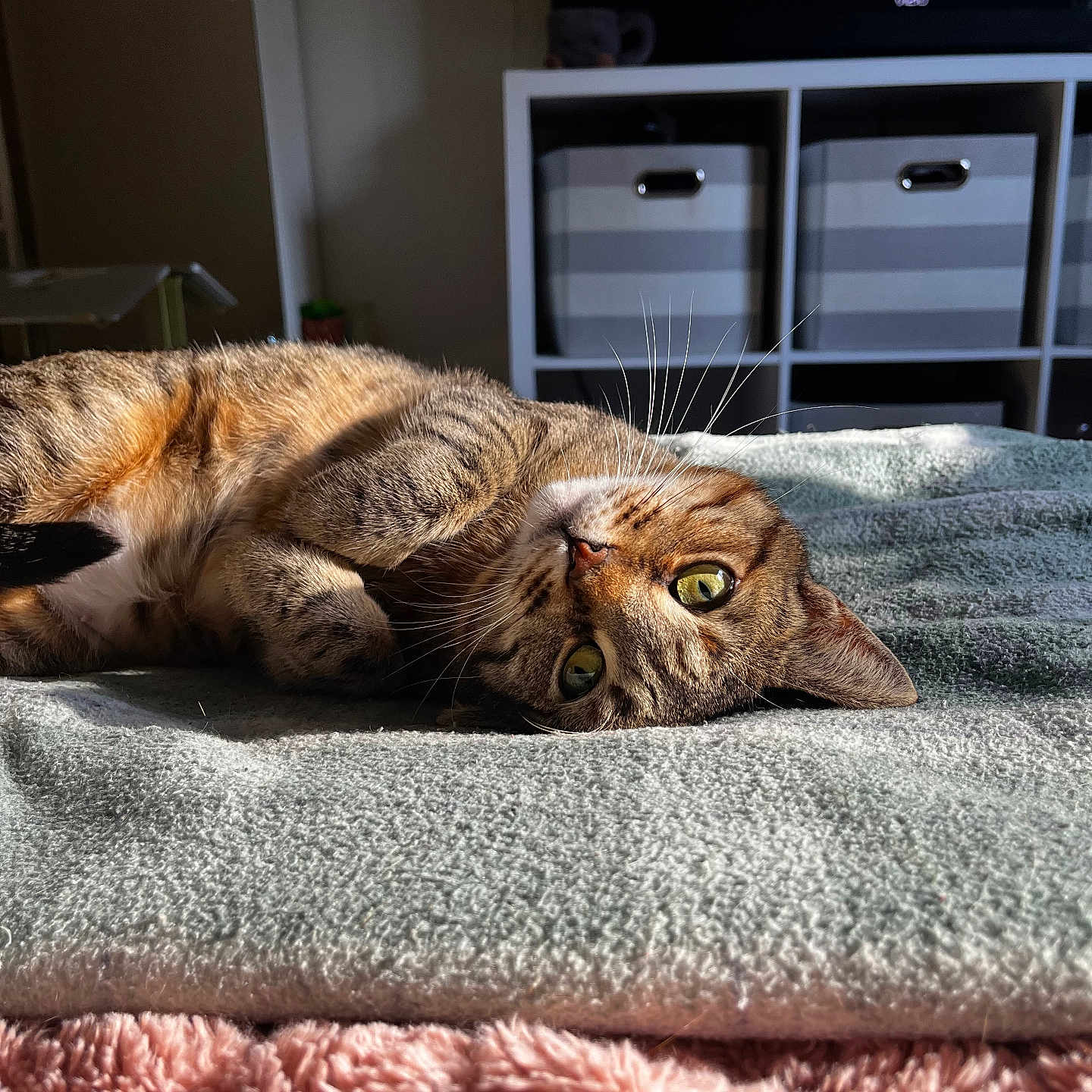 Minnie