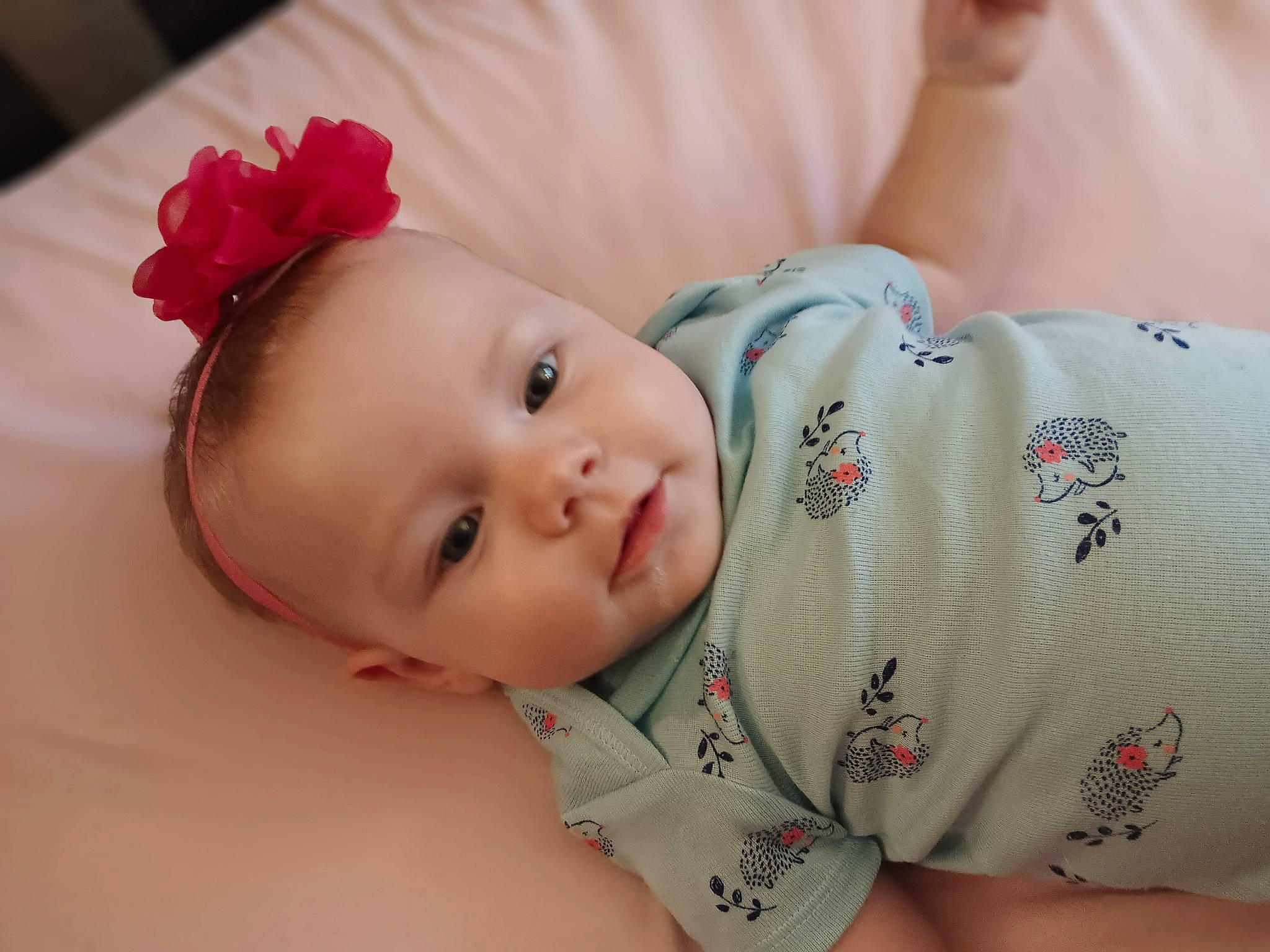 Everleigh joined the competition — help win amazing prizes! baby, baby_toddler_clothing, cheek, child, chin, clothing, comfort, eyelash, face, flower, happy, head, human, lip, mammal, person, pink, skin, sleeve, textile