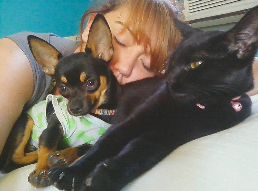 Myles is registered to the contest to win money with this photo: canidae, carnivore, cat, chihuahua, comfort, companion_dog, dog, dog_breed, ear, fawn, felidae, fur, gesture, leg, nail, snout, sporting_group, toy_dog, whiskers, working_animal