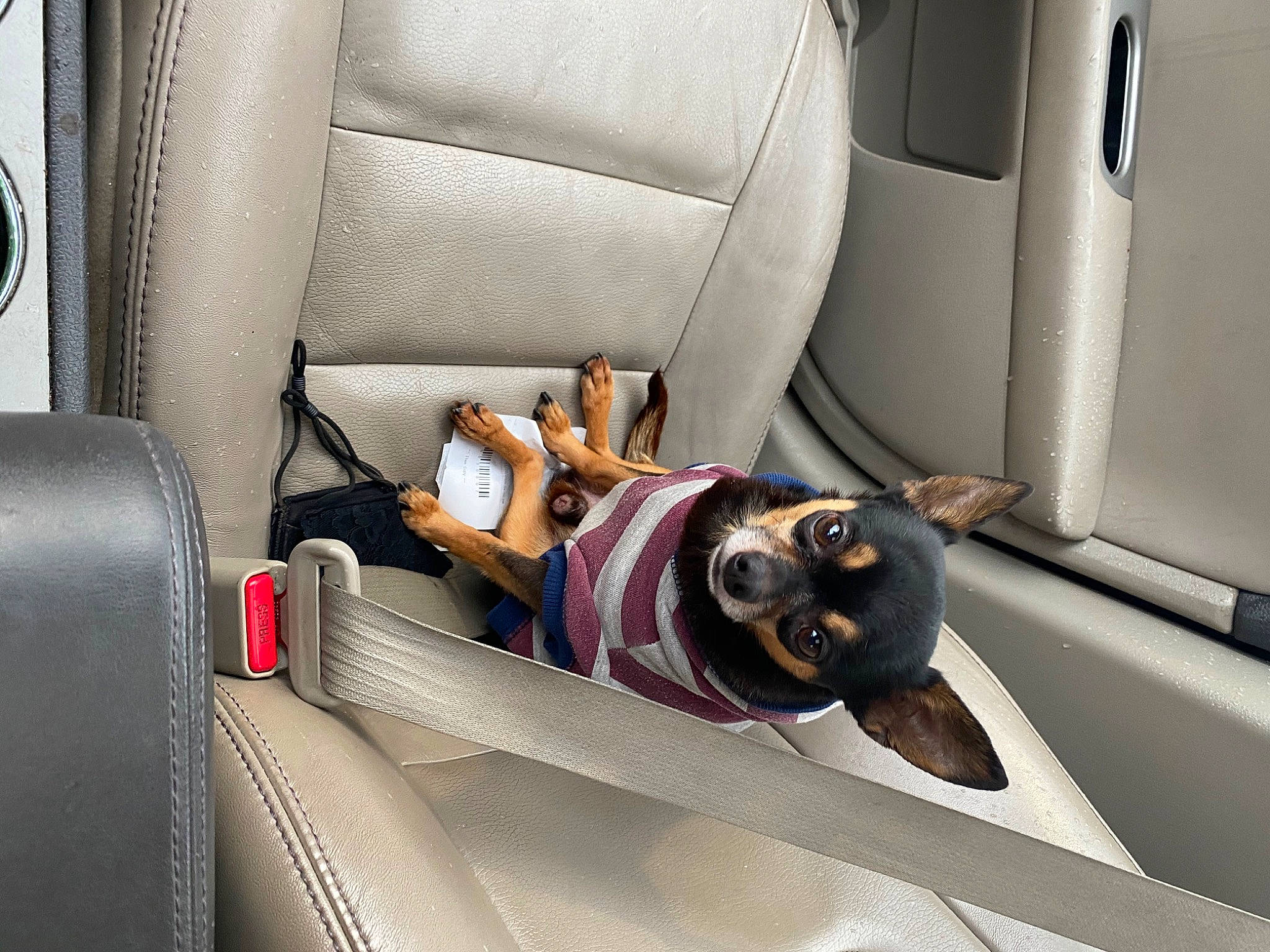 Myles is registered to the contest to win money with this photo: armrest, auto_part, automotive_design, automotive_exterior, car_seat, car_seat_cover, door, family_car, fixture, head_restraint, luxury_vehicle, machine, metal, mode_of_transport, motor_vehicle, personal_luxury_car, seat_belt, steering_part, vehicle, vehicle_door