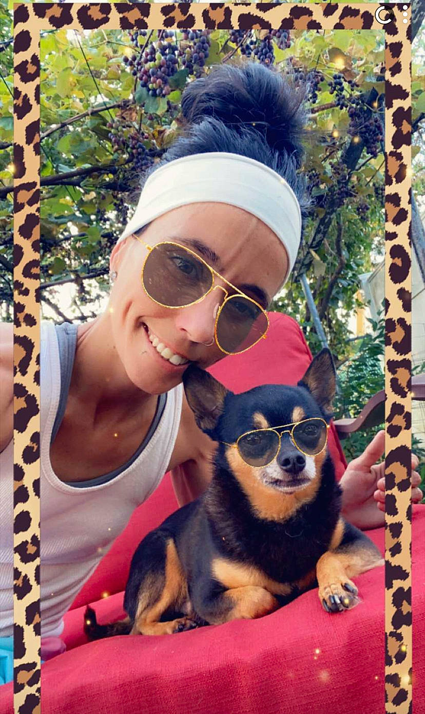 Myles is registered to the contest to win money with this photo: carnivore, companion_dog, cool, dog, dog_breed, eyewear, fawn, friendship, fun, glasses, goggles, happy, leisure, mammal, photograph, recreation, snout, street_fashion, sunglasses, vision_care