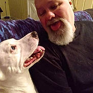 Buckwheat joined the competition — help win amazing prizes! man, dog, white_dog, beard, bald, tongue_out, smiling, indoor, couch, purple_blanket, tattoo, black_shirt, pet, happy, face, closeup, friendship, funny, playful, companion