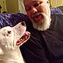 man, dog, white_dog, beard, bald, tongue_out, smiling, indoor, couch, purple_blanket, tattoo, black_shirt, pet, happy, face, closeup, friendship, funny, playful, companion