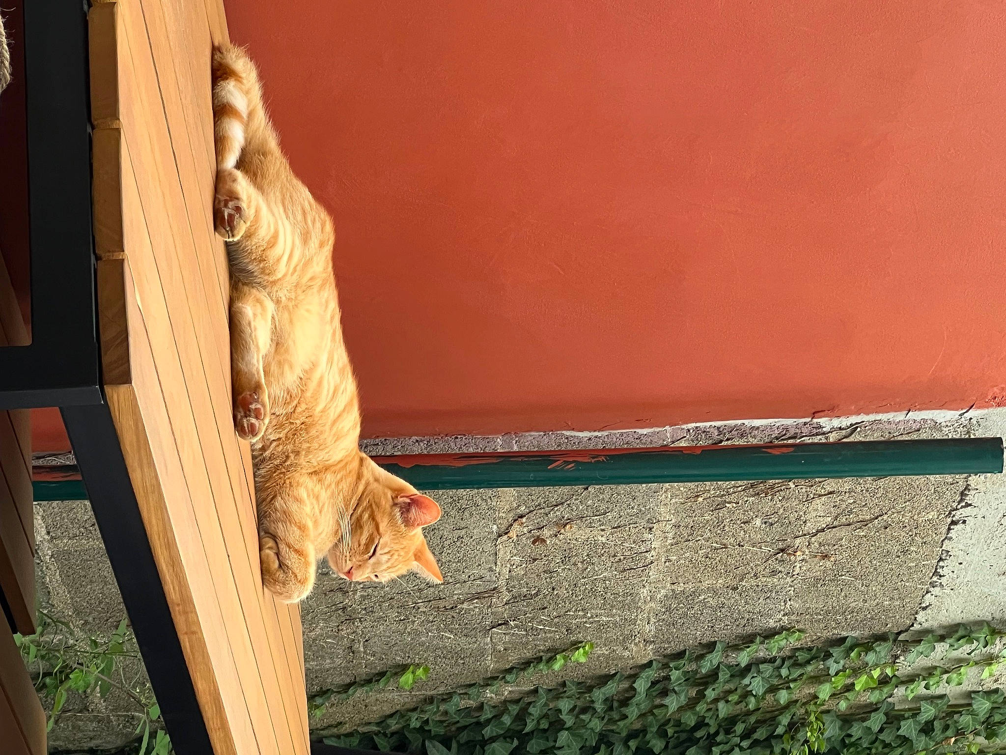 Ponyo participe au concours pour gagner de l'argent avec cette photo : art, artifact, brick, brickwork, column, concrete, door, facade, felidae, plywood, rectangle, sculpture, shadow, small_to_medium_sized_cats, tail, tints_and_shades, trunk, visual_arts, wood, wood_stain