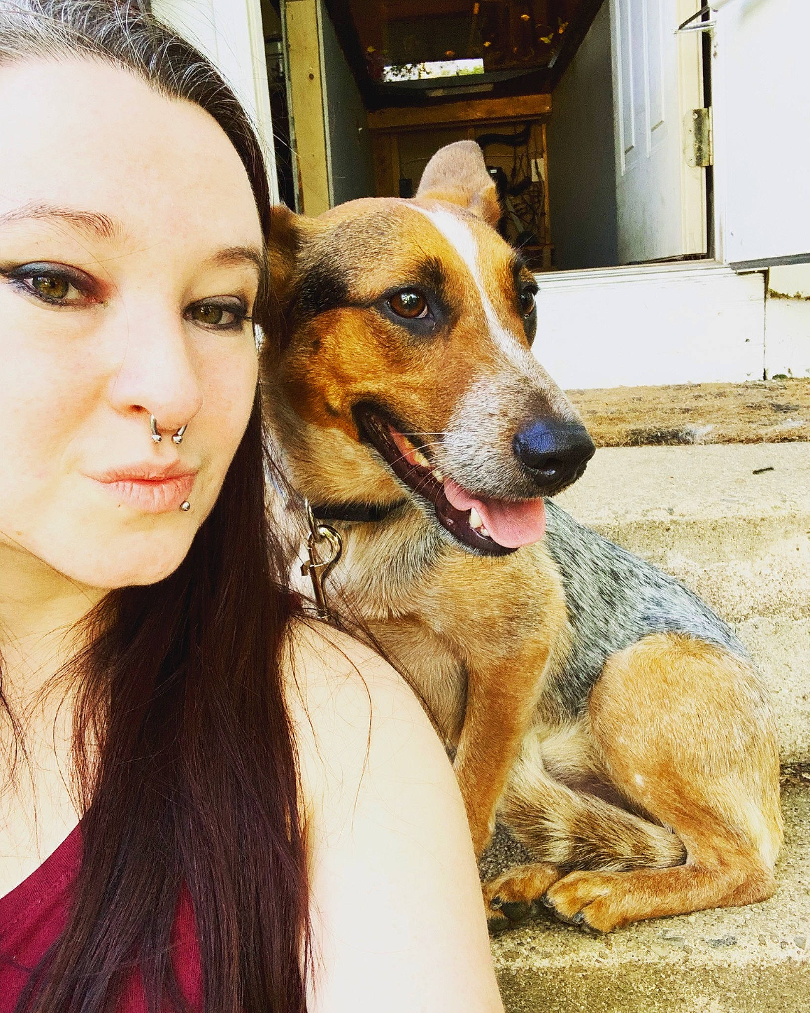 Apollo joined the competition — help win amazing prizes! beauty, canidae, carnivore, companion_dog, dog, dog_breed, ear, eye, fawn, head, mammal, nose, photography, selfie, skin, smile, snout, street_dog