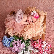 Kaylynn is registered to the contest to win money with this photo: baby, infant, pink, blanket, basket, flowers, headband, flower_crown, curly_hair, soft_texture, pastel_colors, portrait, cute, resting, indoor, decor, tulle_skirt, floral_arrangement, newborn, cozy