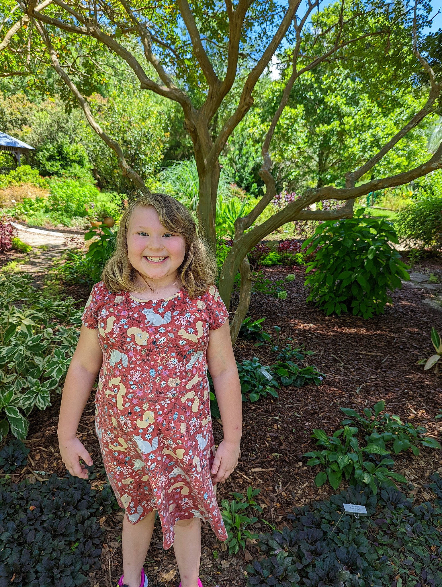 Veronica is registered to the contest to win money with this photo: branch, day_dress, dress, forest, garden, grass, groundcover, happy, joy, landscape, magenta, natural_landscape, pattern, people_in_nature, person, plant, shrub, smile, terrestrial_plant, toddler
