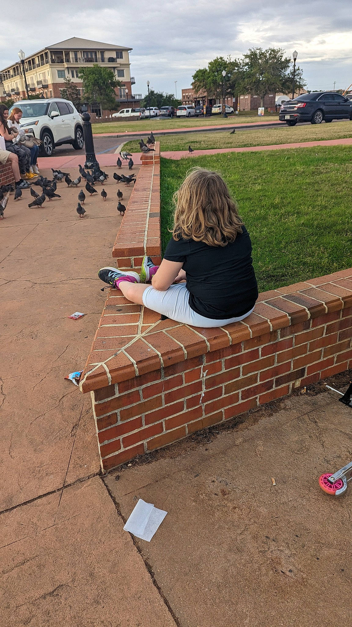 Veronica is registered to the contest to win money with this photo: asphalt, bird, brick, brickwork, car, city, flooring, grass, leisure, mammal, person, plant, public_space, road, road_surface, sidewalk, summer, tire, tree, vertebrate