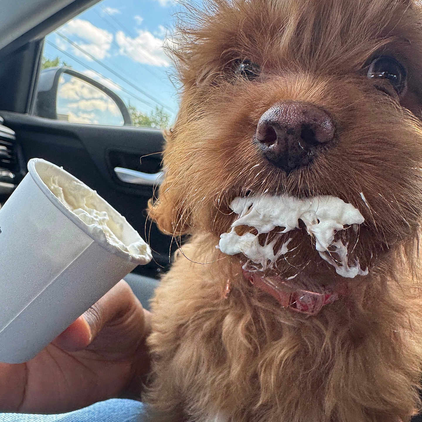 Toffee