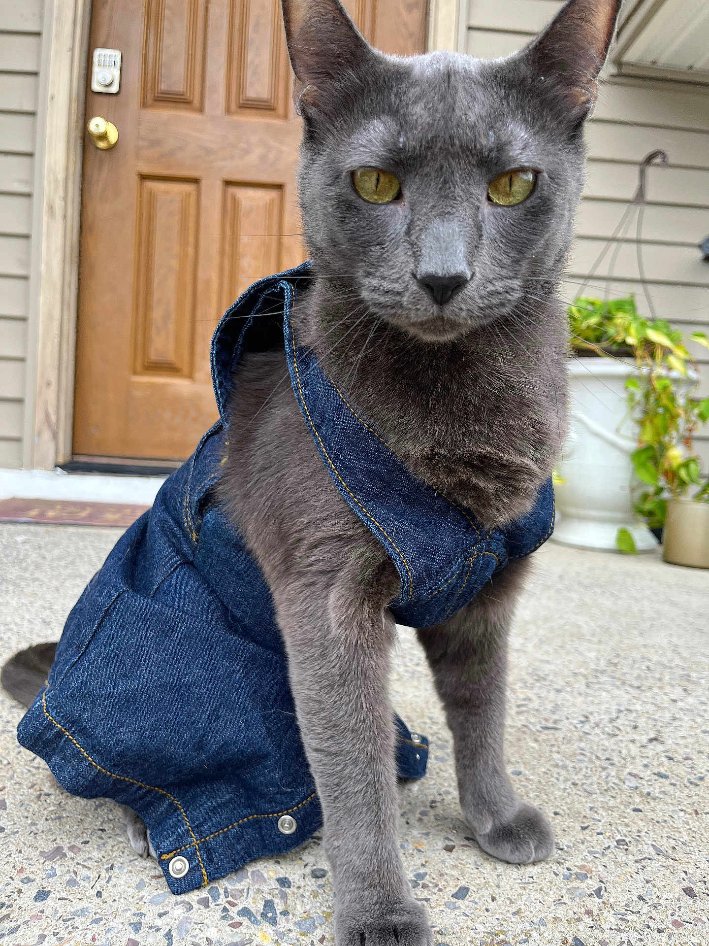 Binx