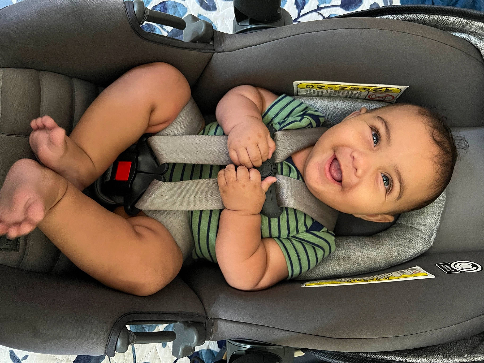 Carmelo joined the competition — help win amazing prizes! auto_part, automotive_design, automotive_exterior, baby_carriage, baby_products, car_seat, child, comfort, finger, fun, hand, happy, joy, knee, lap, motor_vehicle, person, smile, thigh, thumb