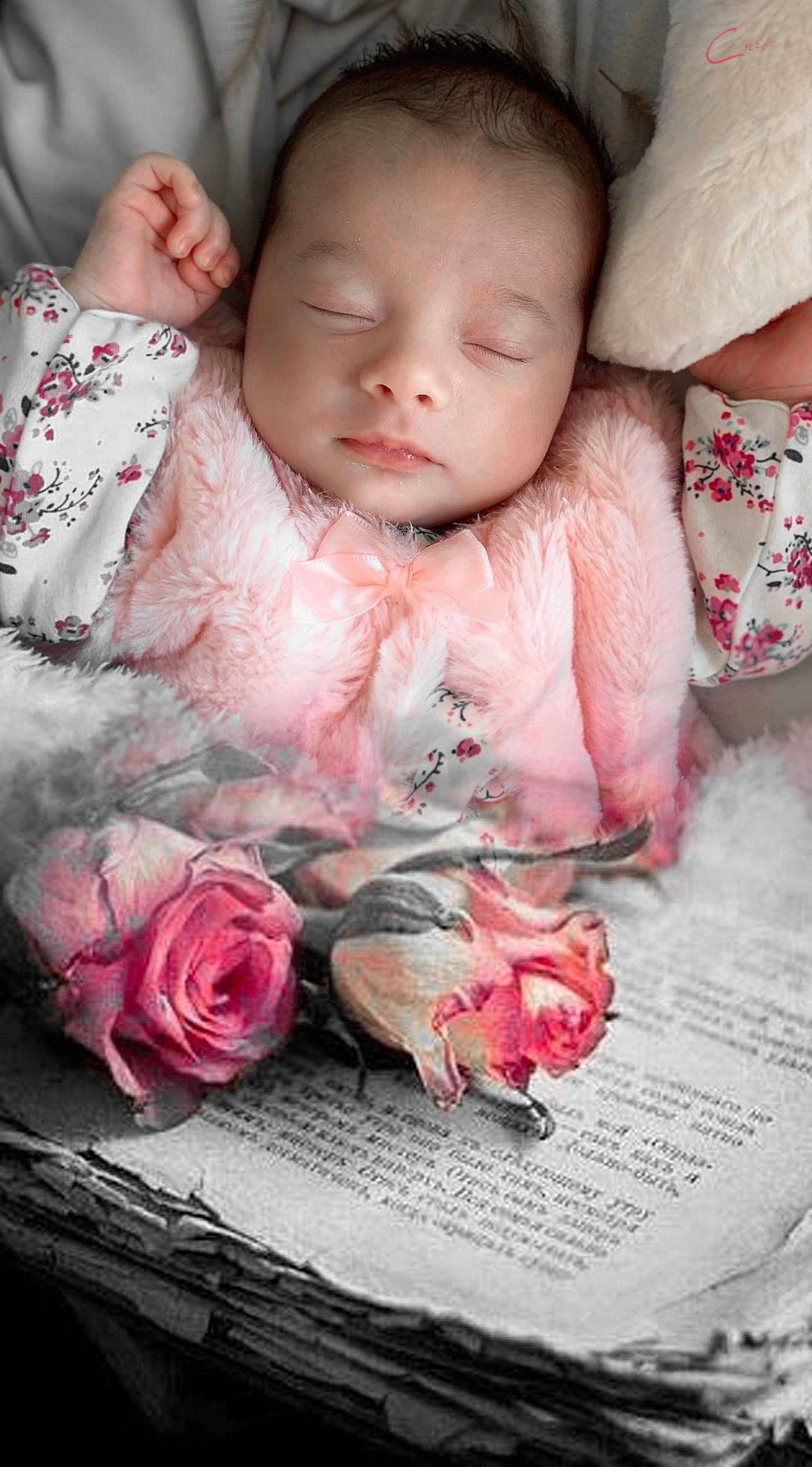 Rose participe au concours pour gagner de l'argent avec cette photo : baby, baby_toddler_clothing, beauty, comfort, flash_photography, flower, happy, hybrid_tea_rose, lip, pattern, person, petal, photograph, pink, plant, red, rose, rose_order, skin, textile