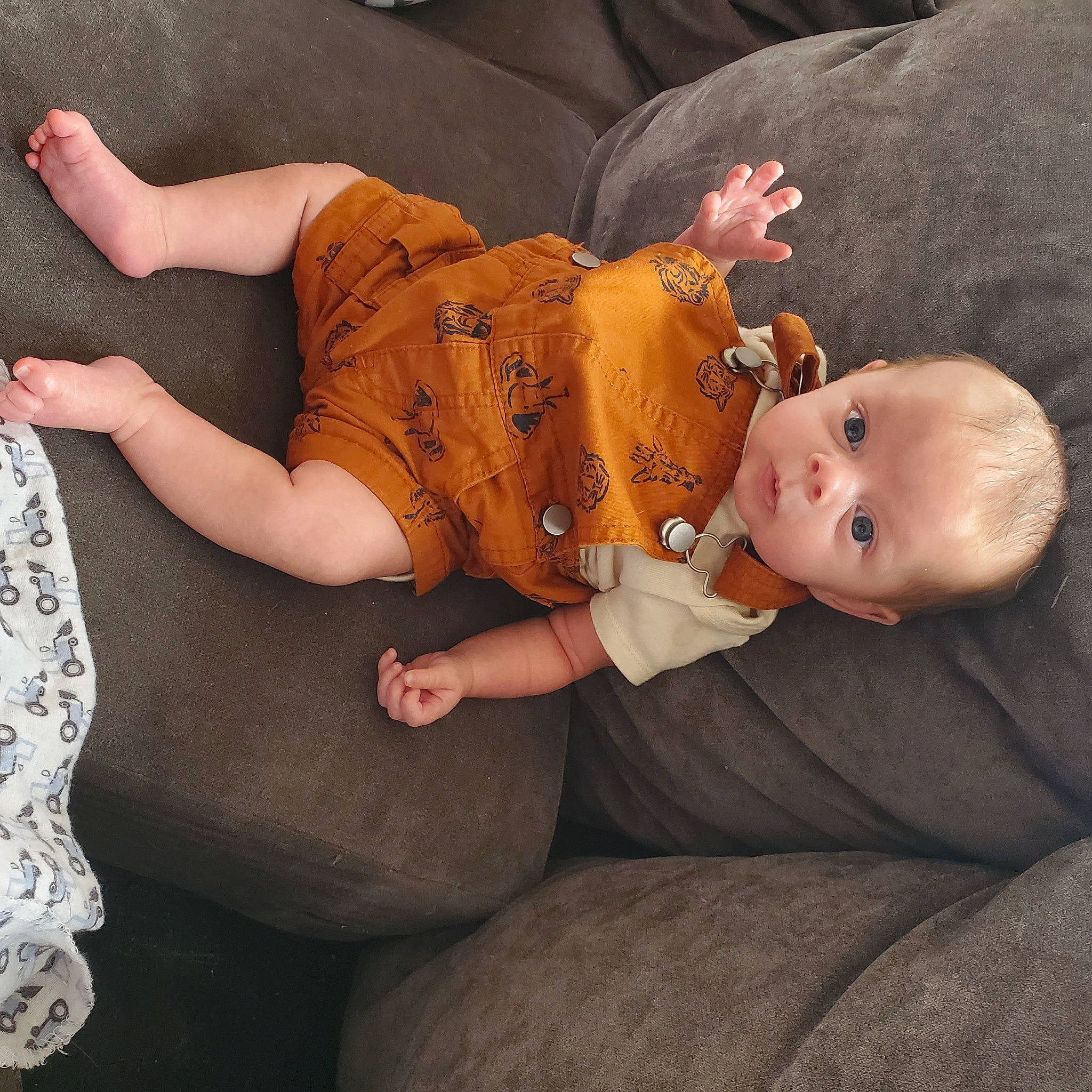 Bradley joined the competition — help win amazing prizes! abdomen, baby, baby_toddler_clothing, cheek, chest, child, comfort, elbow, foot, gesture, human_leg, knee, lap, person, sitting, sleeve, stomach, thigh, toddler, trunk
