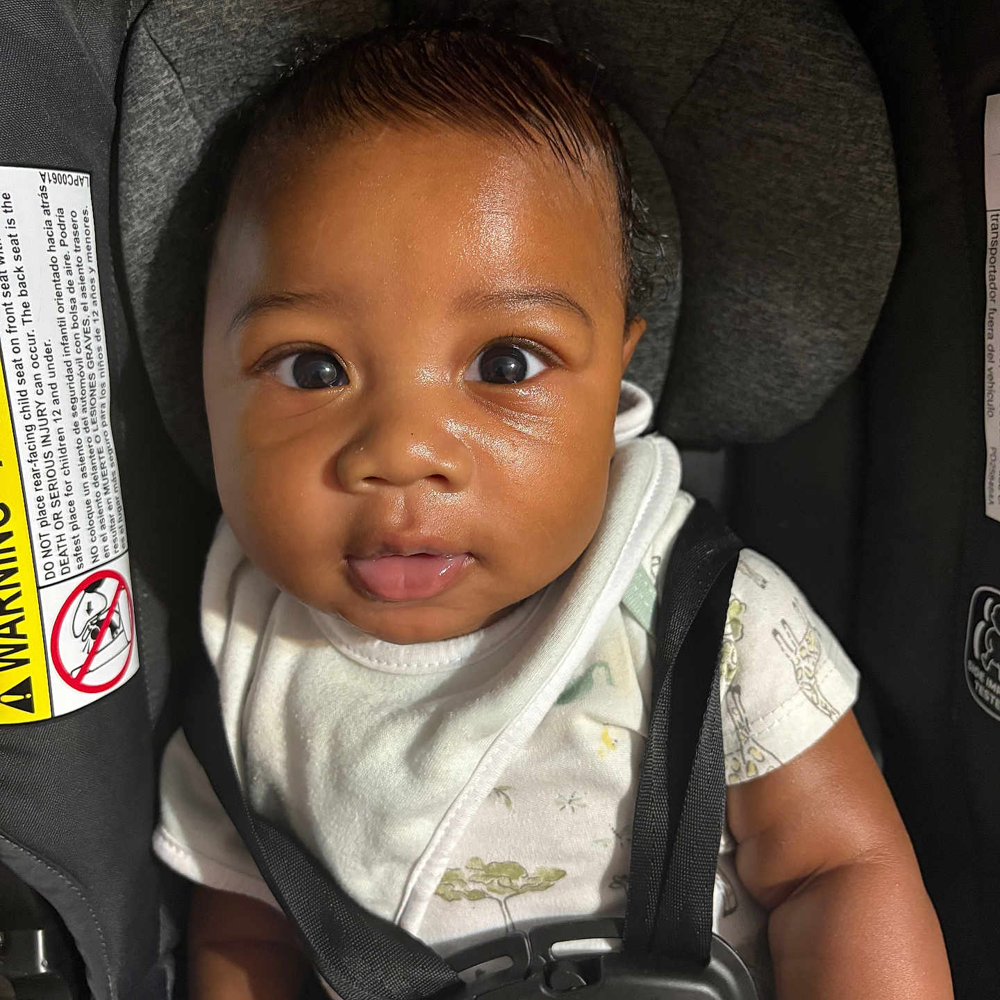 Royal joined the competition — help win amazing prizes! baby, car_seat, child, closeup, curious, cute, expression, face, head_support, indoors, infant, looking, onesie, person, safety, seatbelt, sitting, skin, straps, young