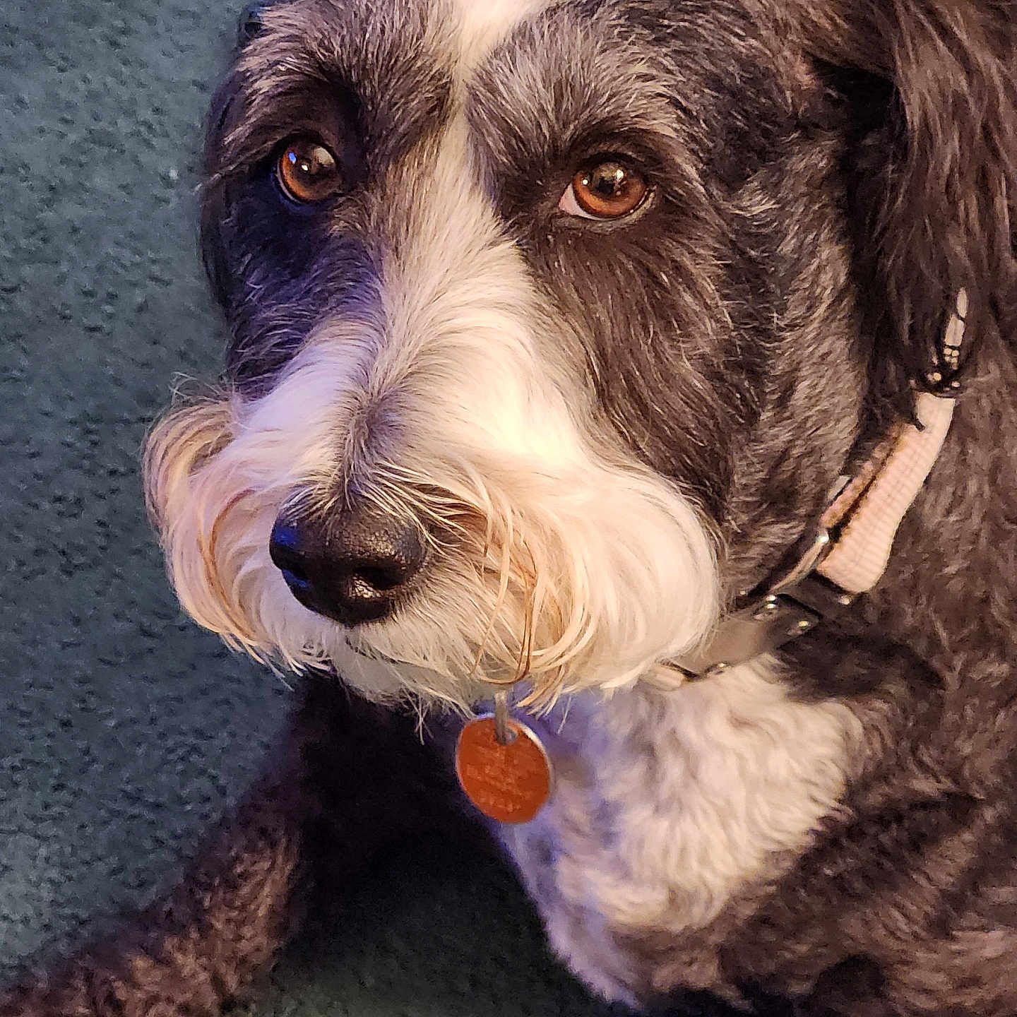 Sadie Marie
