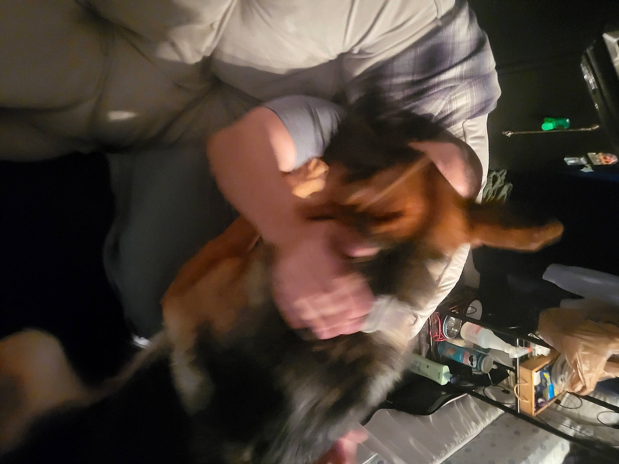 Diesel joined the competition — help win amazing prizes! abdomen, audio_equipment, chest, child, elbow, event, flesh, fun, fur, gadget, gesture, human_leg, knee, machine, nail, room, trunk, wrist