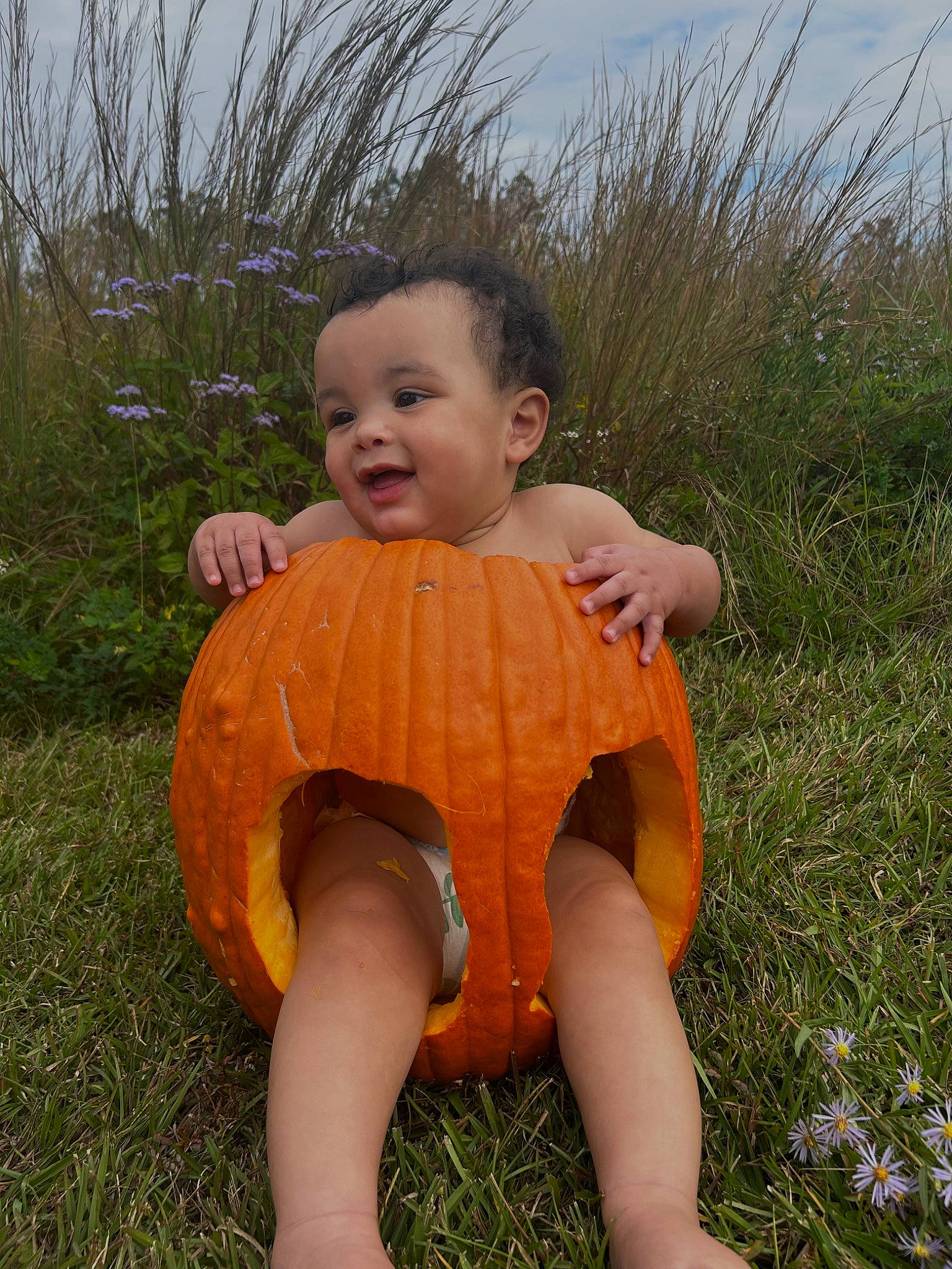 Houston is registered to the contest to win money with this photo: baby_toddler_clothing, ball, child, eye, fun, grass, grass_family, grassland, happy, landscape, lawn, meadow, people_in_nature, person, plant, pumpkin, shorts, sky, smile, toddler