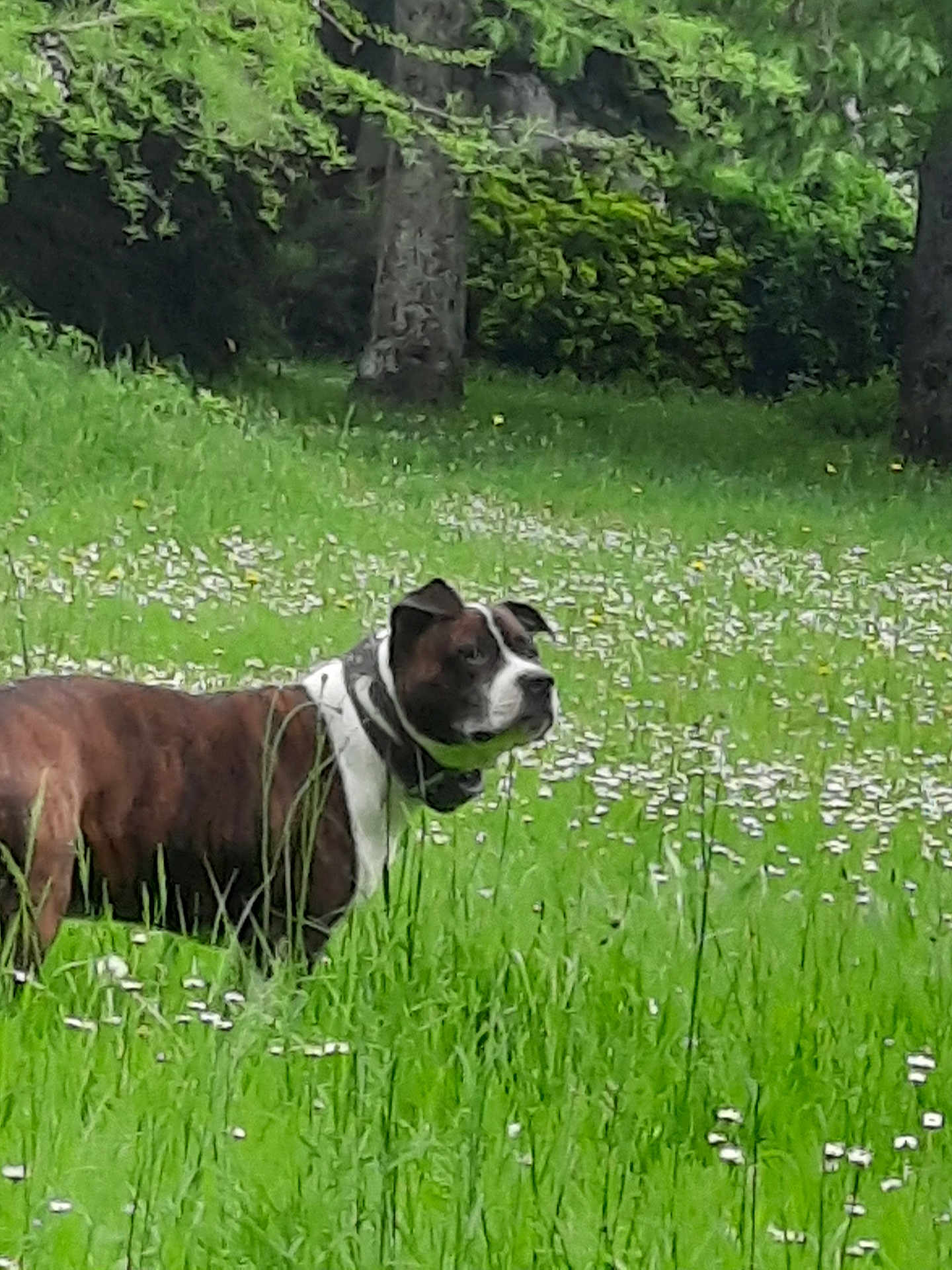 Jean François Graton