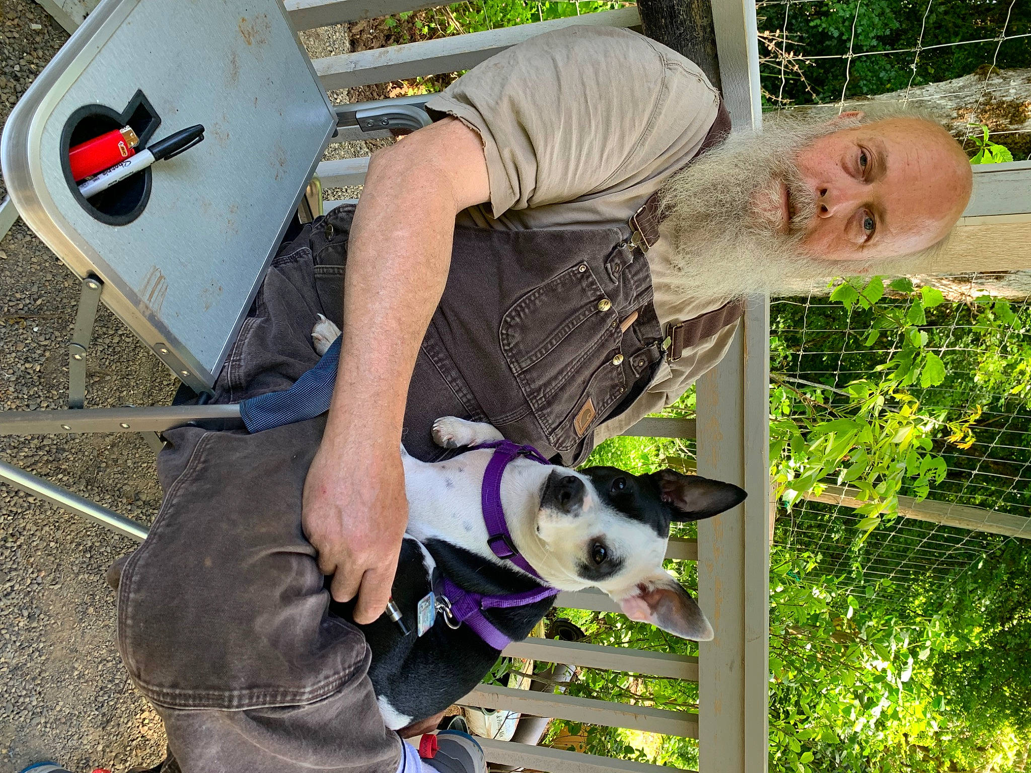 Ricky is registered to the contest to win money with this photo: canidae, carnivore, collar, companion_dog, dog, dog_breed, dog_collar, dog_sports, fun, grass, hat, leash, leisure, non_sporting_group, plant, recreation, smile, soil, sporting_group, tree