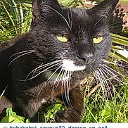 Chelsie joined the competition — help win amazing prizes!