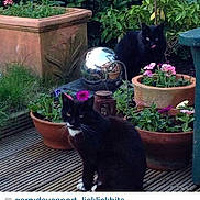 Chelsea Stewart is registered to the contest to win money with this photo: