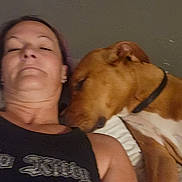 Princess Buttercup is registered to the contest to win money with this photo: animal, black_shirt, brown_dog, casual, close_up, collar, comfort, companion, dog, face, friendship, human, indoor, person, pet, portrait, relaxation, resting, skin, sleeping