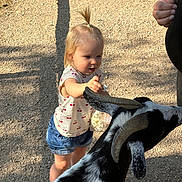 Elena a rejoint le concours — aidez-le/la à gagner de superbes lots ! animal, child, curious, daylight, farm, feeding, goat, hand, interaction, nature, outdoor, petting_zoo, playful, pony_tail, popcorn, shirt, shorts, summer, sunlight, toddler