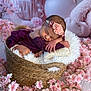 newborn, baby, sleeping, basket, purple_outfit, floral_headband, flower, pink_flower, soft_texture, white_fabric, woven_basket, peaceful, portrait, infant, cute, resting, cozy, decor, studio_photo, child