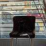 Aïko participe au concours pour gagner de l'argent avec cette photo : dog, chair, window, blinds, daylight, indoor, lamp, table, plant, decor, pet, small_dog, seated, quiet, shadow, furniture, backlit, calm, cozy, household