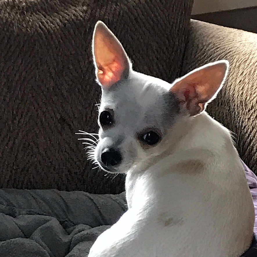 Kilo