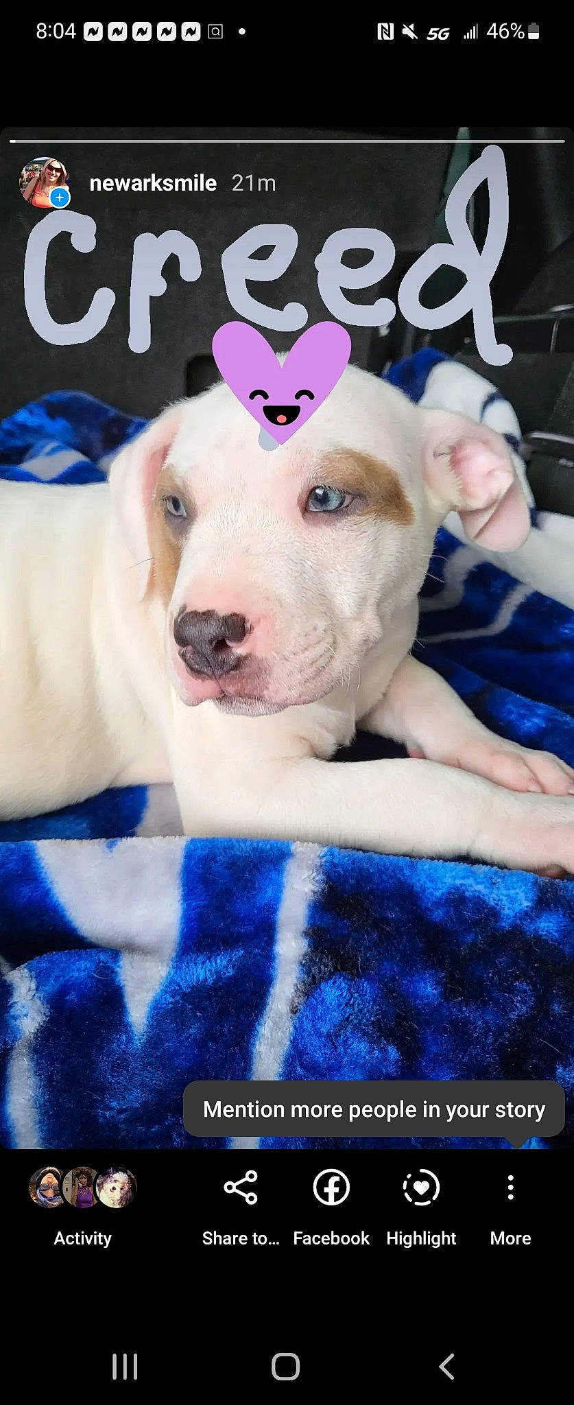 Creed is registered to the contest to win money with this photo: blue, canidae, carnivore, collar, companion_dog, dog, dog_breed, dog_supply, electric_blue, fawn, font, happy, pattern, paw, pet_supply, photo_caption, smile, snout, whiskers, working_animal