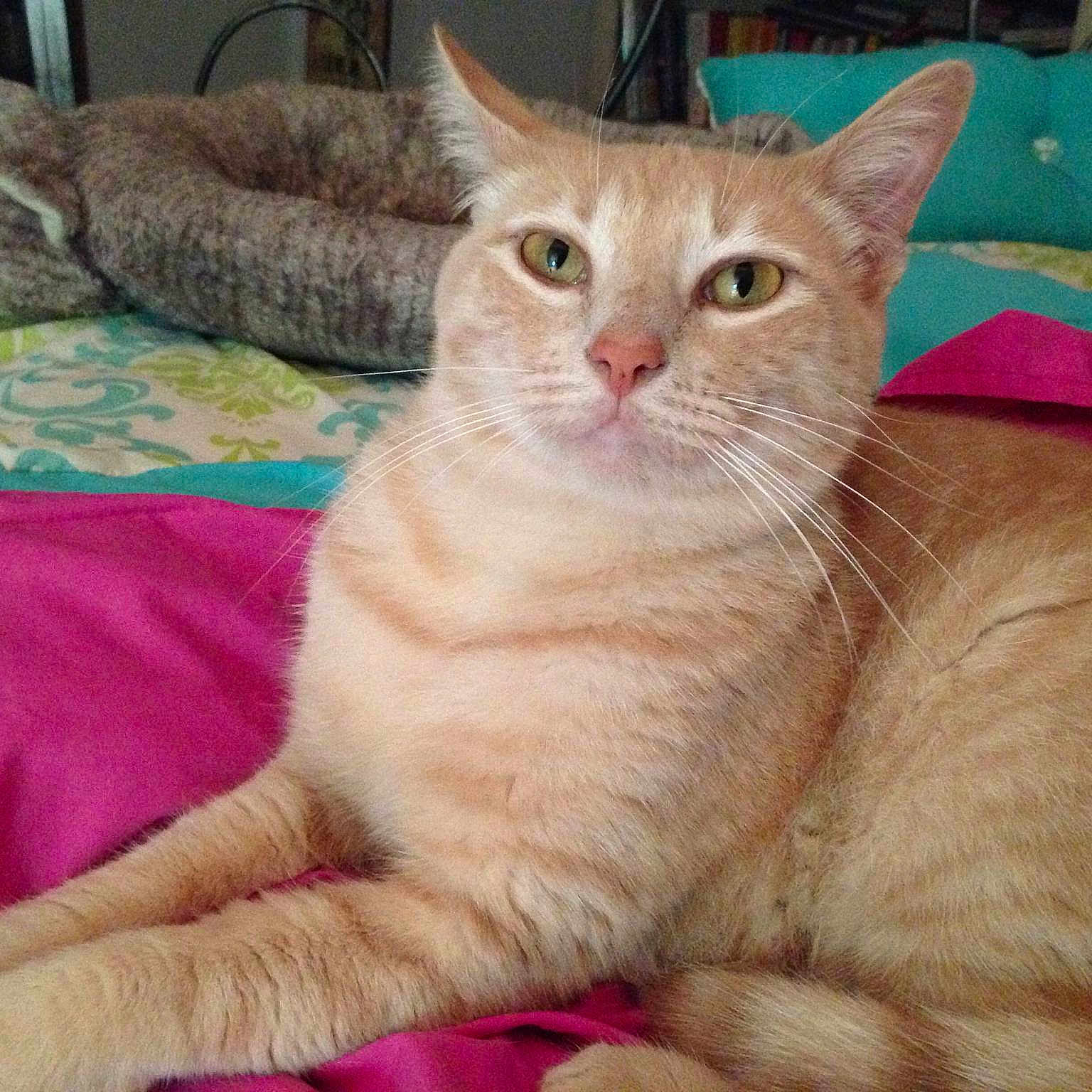 Leo