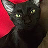 Dexter joined the competition — help win amazing prizes!