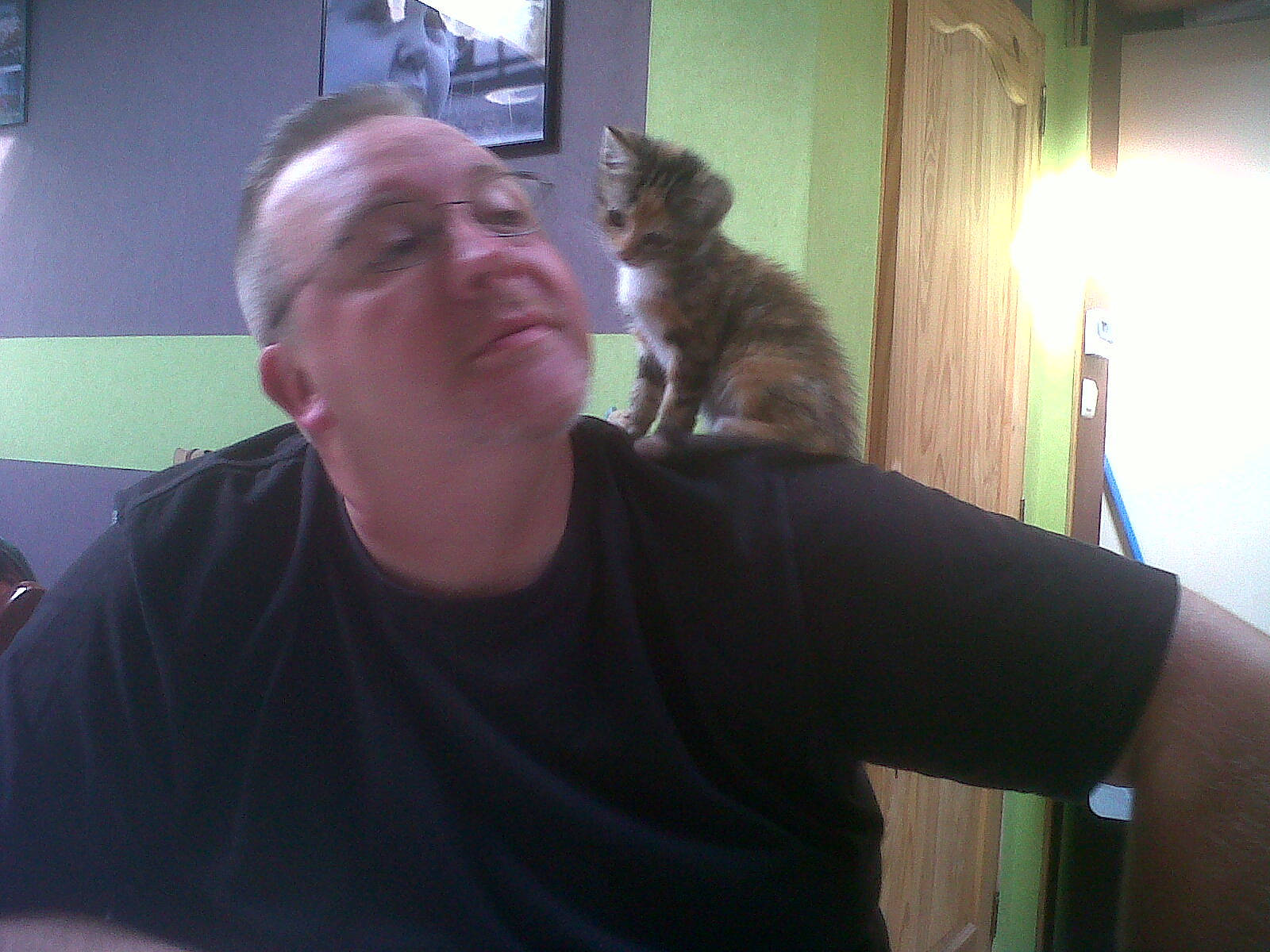 Guiness participe au concours pour gagner de l'argent avec cette photo : arm, carnivoran, cat, cat_like_mammal, ear, facial_hair, fun, glasses, hair, hairstyle, mammal, muscle, organ, person, snapshot, vertebrate, vision_care