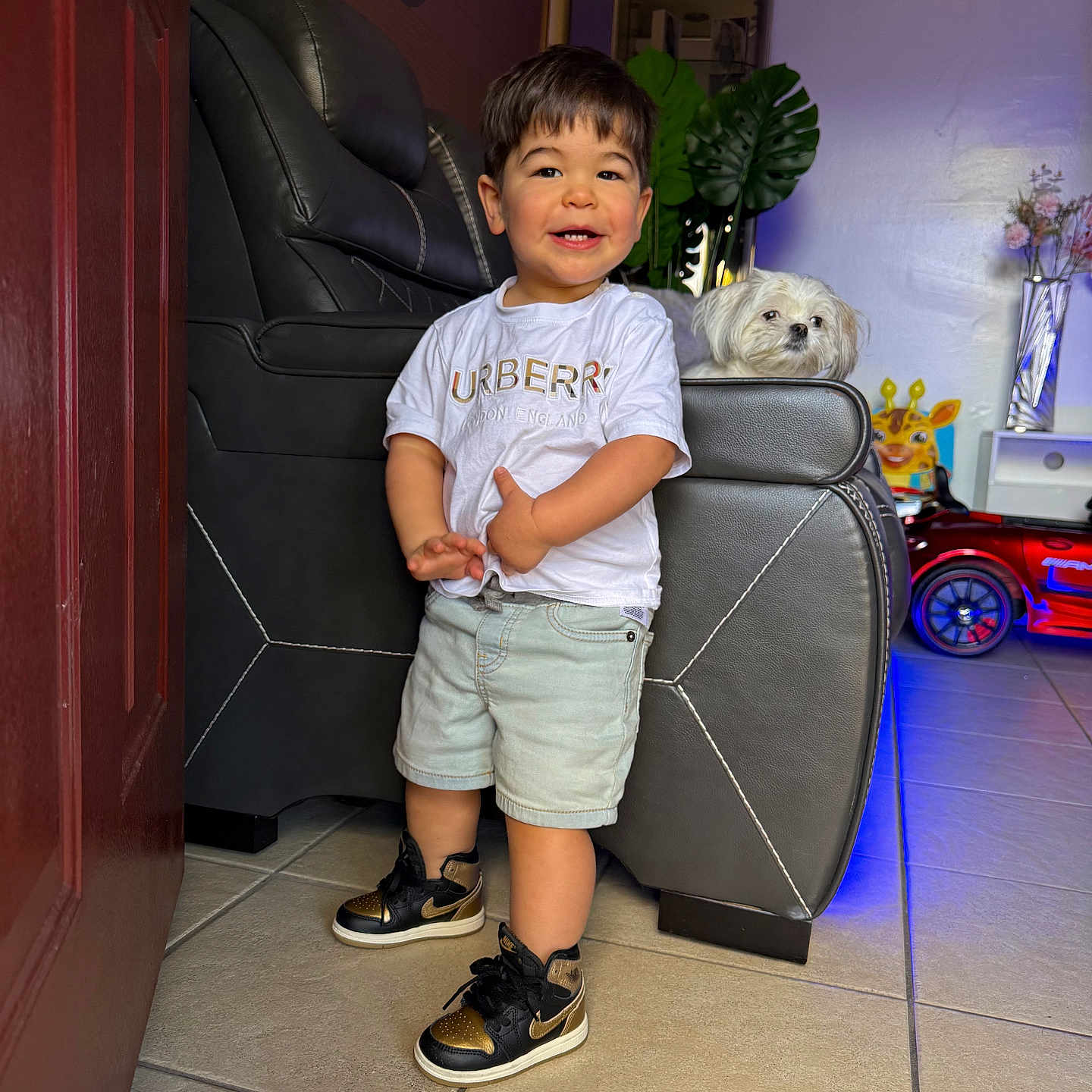 Noah is registered to the contest to win money with this photo: animal, boy, canine, car, child, clothing, couch, flower, flowerarrangement, footwear, furniture, male, pants, person, plant, pottedplant, shoe, shorts, transportation, vehicle