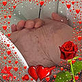 Sarah A.