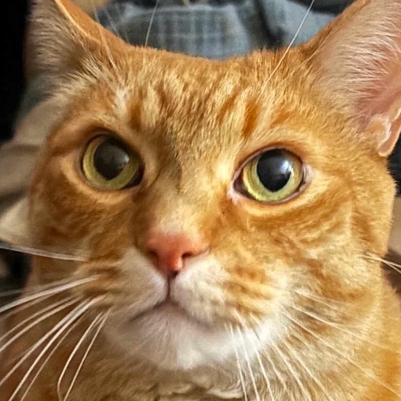 Tiberius