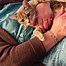 blue_shirt, bracelet, cat, close_up, cozy, cuddling, feline, fur, hand, indoor, lap, living_room, person, pet, portrait, ring, sweater, tabby_cat, whiskers, wide_eyes