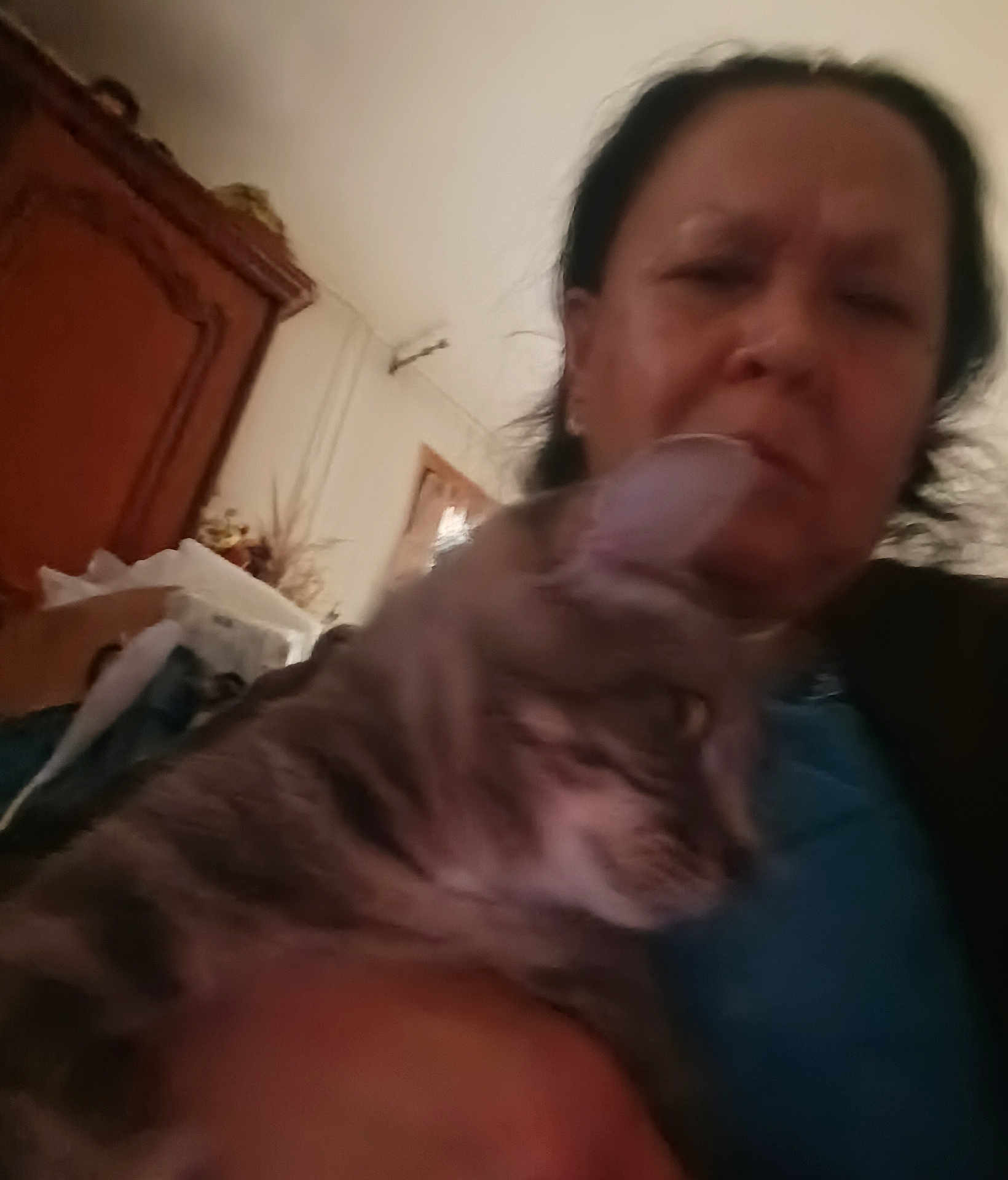 Lulu Kham participe au concours pour gagner de l'argent avec cette photo : person, woman, cat, tabby_cat, pet, selfie, blurred, indoor, furniture, wardrobe, face, hair, arm, holding, portrait, low_light, home_interior, cozy, expression, clutter