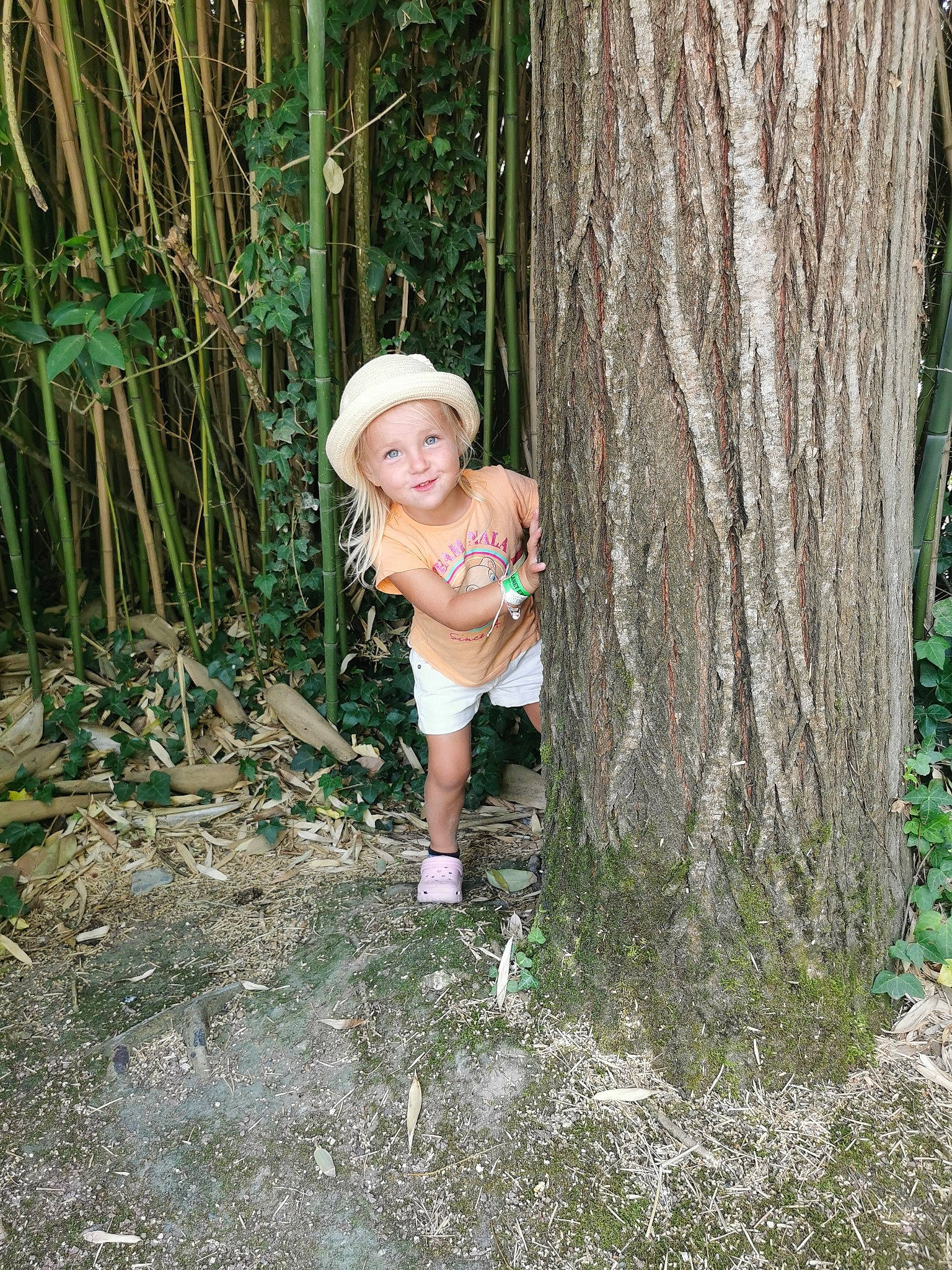 Ashley participe au concours pour gagner de l'argent avec cette photo : baby, baby_toddler_clothing, fawn, flash_photography, forest, grass, grass_family, hat, headwear, human_leg, joy, people_in_nature, person, plant, sun_hat, terrestrial_plant, thigh, toddler, tree, trunk