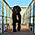 Akim